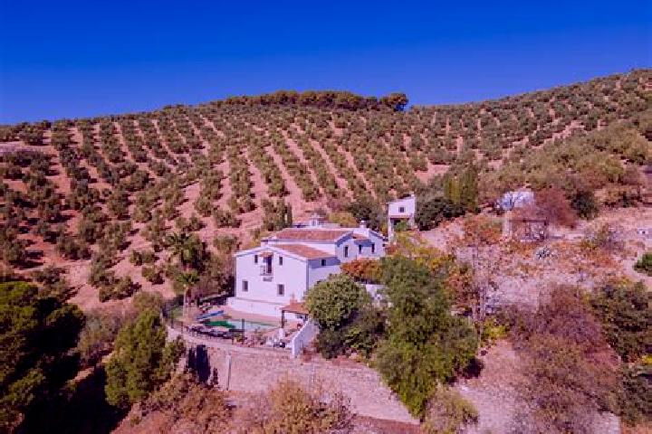 Nora, 22 — Escort in El Cortijo, Mexico