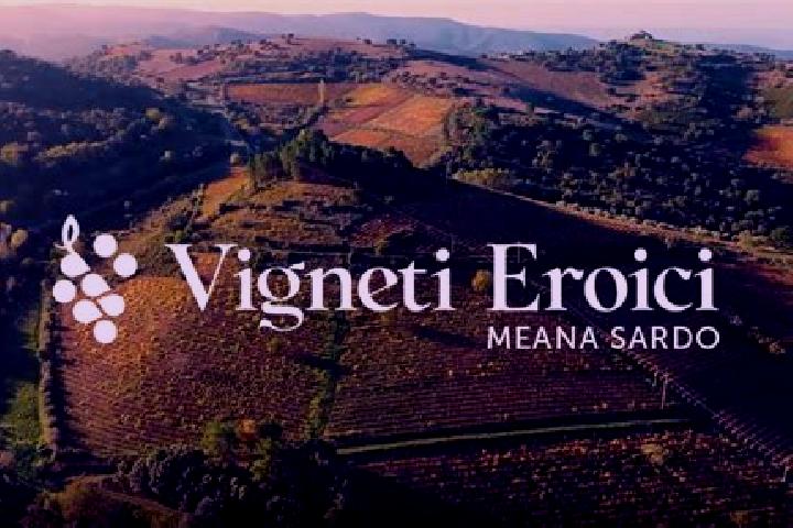 Nora, 22 — Escort in Meana Sardo, Italy