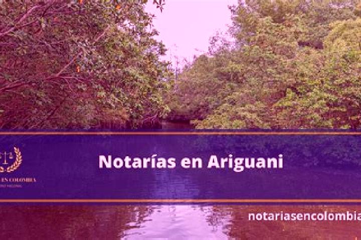 Nora, 23 — Escort in Ariguani, Colombia