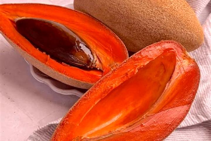 Nora, 23 — Escort in Mamey la Mar, Mexico