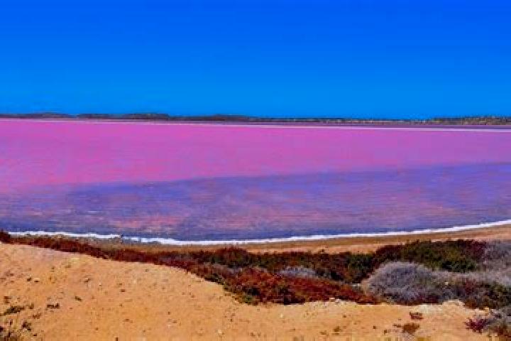 Nora, 23 — Escort in Pink Lake, Australia
