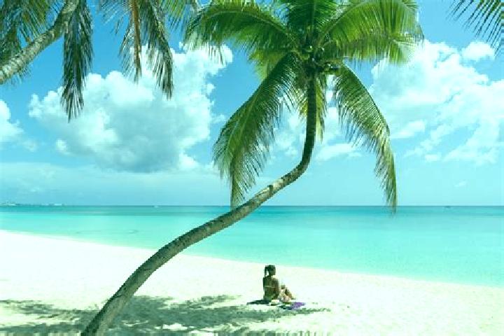 Nora, 23 — Escort in Seven Miles, Cayman Islands