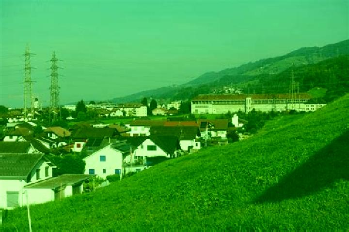 Nora, 23 — Escort in Siebnen, Switzerland