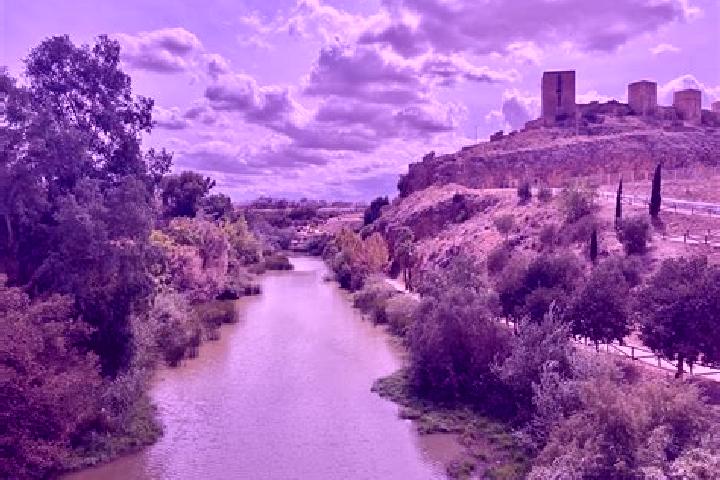 Nora, 24 — Escort in Alcala del Rio, Spain