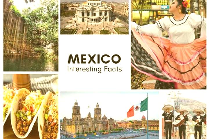 Nora, 24 — Escort in Cuaxuxpa, Mexico