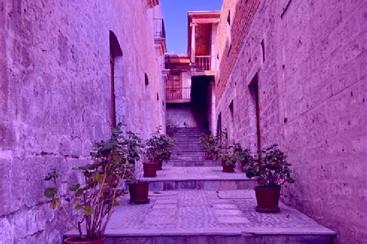 Nora, 25 — Escort in Barrio del Gigante, Mexico