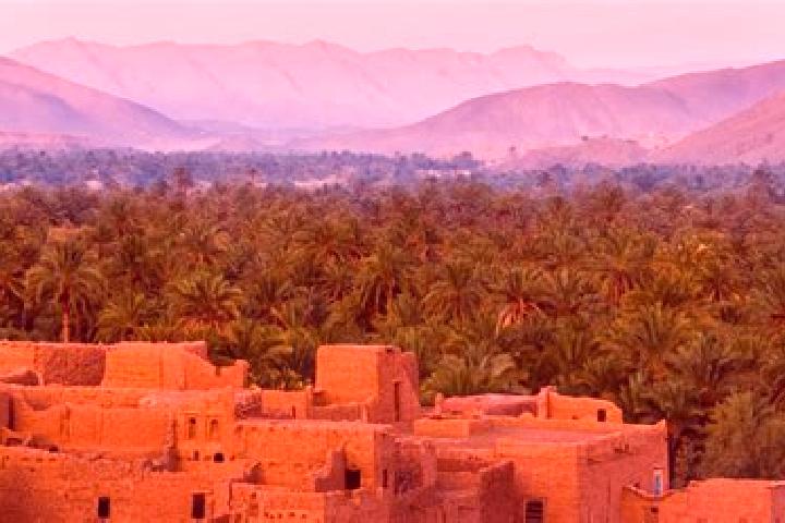 Nora, 25 — Escort in Jamaat Shaim, Morocco