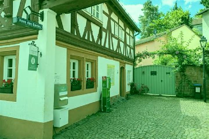 Nora, 25 — Escort in Leinsweiler, Germany