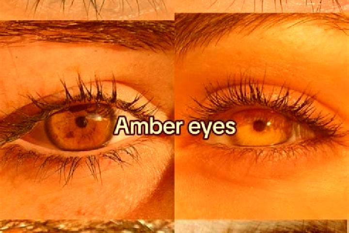Nora, 26, a chestnut amber-eyed caribbean companion based in Olivia. Offering Domination, Girlfriend Experience, Tantra. Available for incall and outcall, ov...