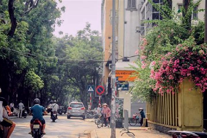Nora, 26 — Escort in Cau Giat, Vietnam
