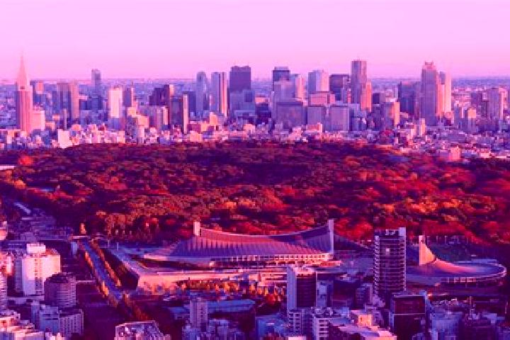 Nora, 26 — Escort in Kanamachi, Japan