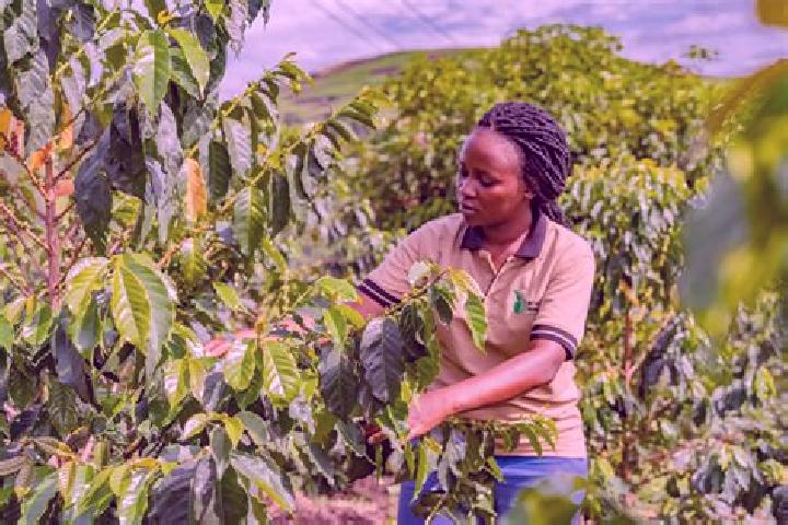 Nora, 26 — Escort in Lyantonde, Uganda
