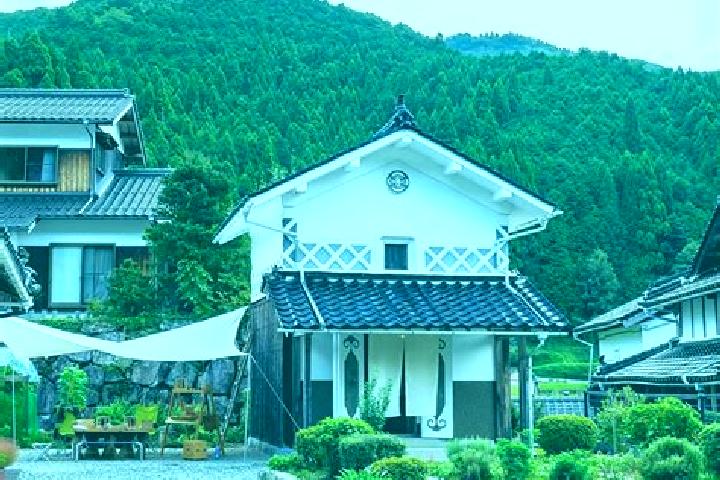 Nora, 26 — Escort in Nishiawakura, Japan