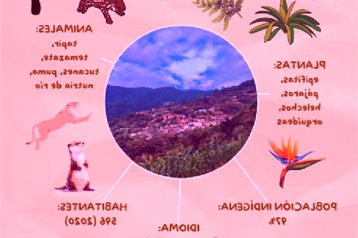 Nora, 26 — Escort in Santa Maria Yaviche, Mexico
