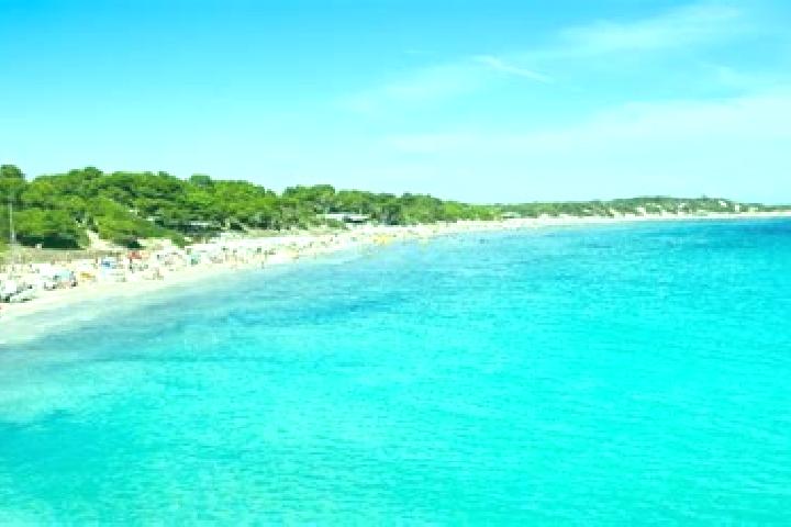 Nora, 26 — Escort in Ses Salines, Spain