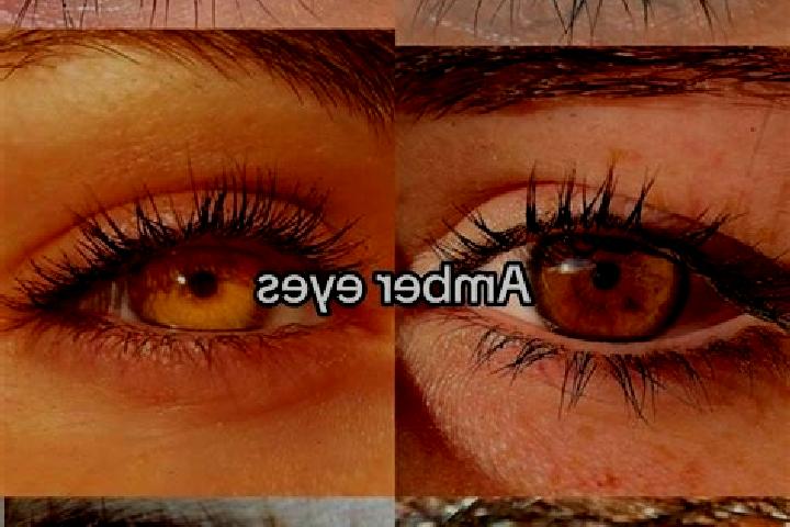 Nora, 27, a brunette amber-eyed middle eastern companion based in Villepot. Offering Duos, Party Girl. Available for incall and outcall, overnight bookings a...