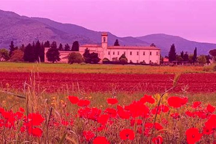 Nora, 27 — Escort in Corfinio, Italy