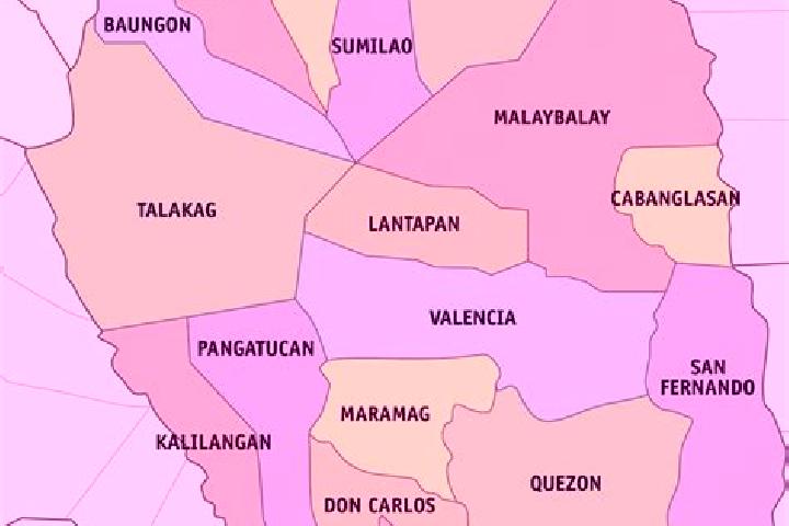 Nora, 27 — Escort in Damilag, Philippines
