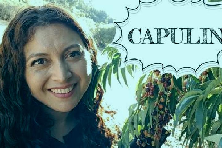 Nora, 27 — Escort in El Capulin Chocolate, Mexico