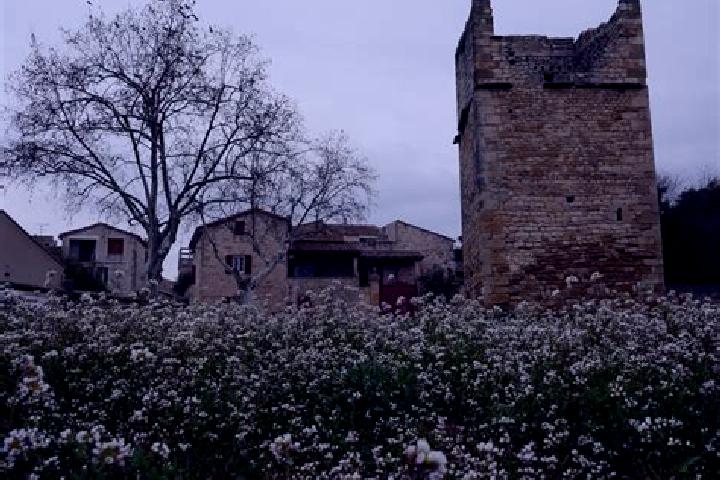 Nora, 27 — Escort in Garrigues-Sainte-Eulalie, France