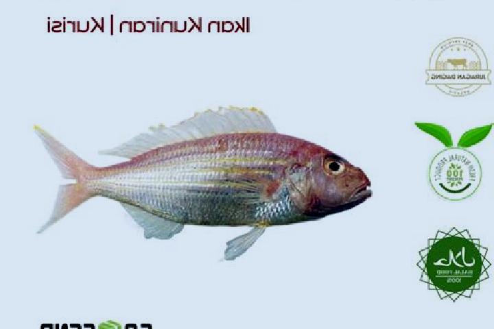 Nora, 27 — Escort in Kuniran, Indonesia