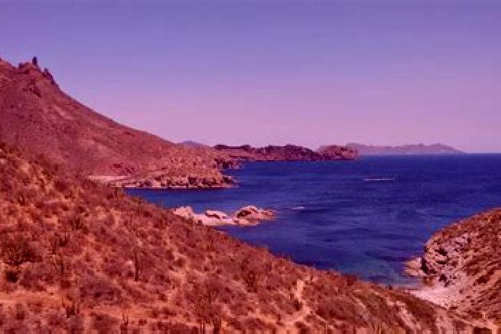 Nora, 28 — Escort in El Carricito, Mexico