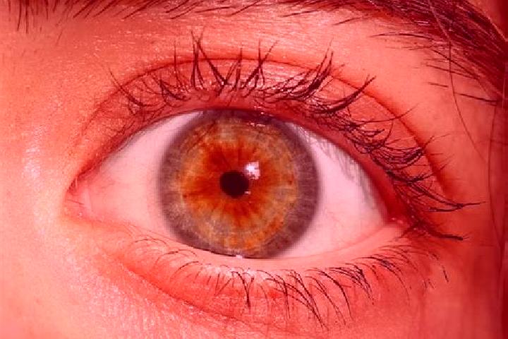 Nora, 29, a red hazel-eyed slavic companion based in Norville. Offering CIM, Striptease, Domination. Available for incall and outcall, overnight bookings ava...