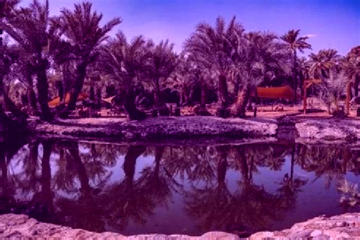 Nora, 29 — Escort in Al-Kharijah, Egypt
