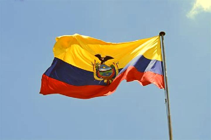 Nora, 29 — Escort in El Rosario, Ecuador