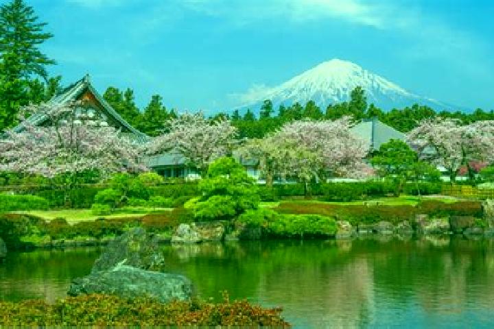 Nora, 29 — Escort in Fujinomiya, Japan