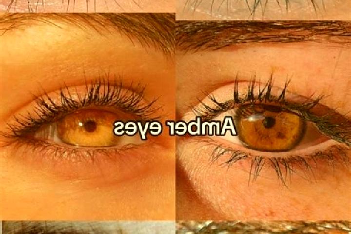 Nora, 30, a chestnut amber-eyed ebony companion based in Kairane. Offering OWO, CIM, GFE. Available for incall and outcall, overnight bookings available.