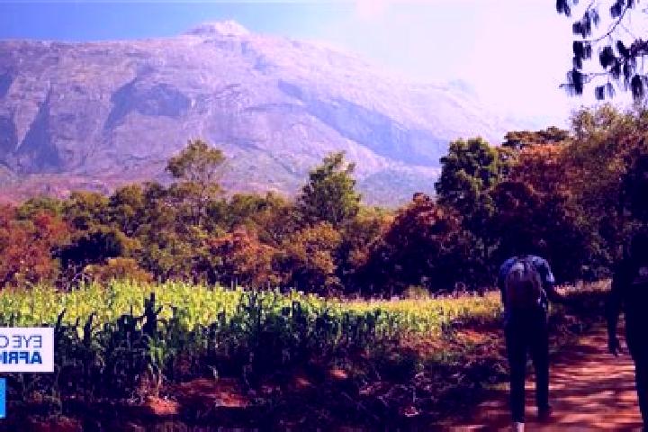Nora, 30 — Escort in Mulanje, Malawi