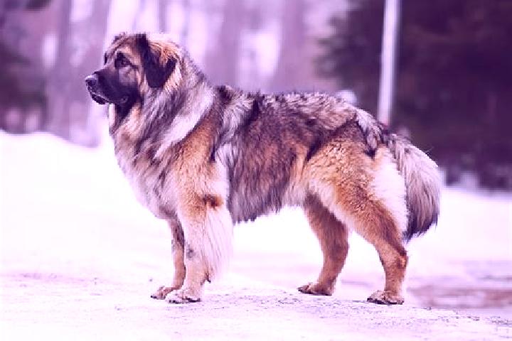 Nora, 31, a black grey-eyed caucasian companion based in Lower Grand Lagoon. Offering Deep French Kissing, Duos, Travel Companion, OWO. Available for incall ...