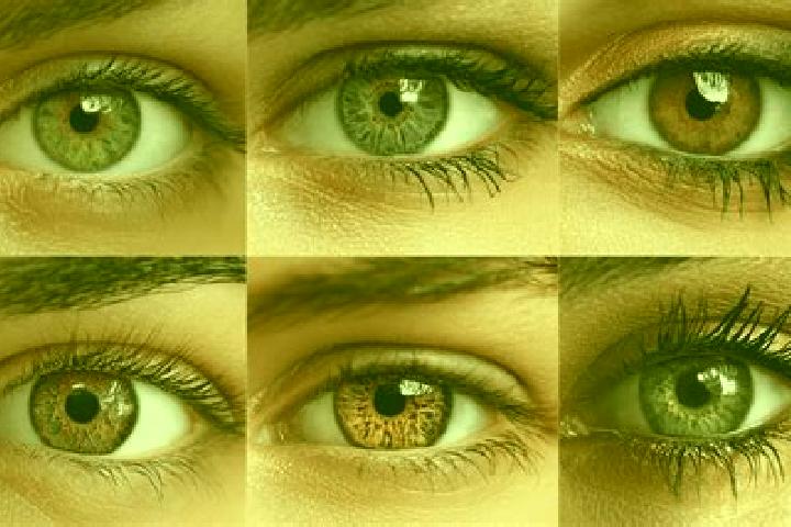 Nora, 31, a chestnut hazel-eyed middle eastern companion based in Falleron. Offering Overnight, GFE, BDSM. Available for incall and outcall, day and evening ...