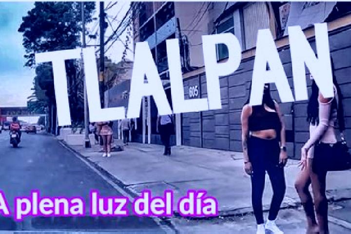 Nora, 31 — Escort in Calzada de Don Diego, Spain