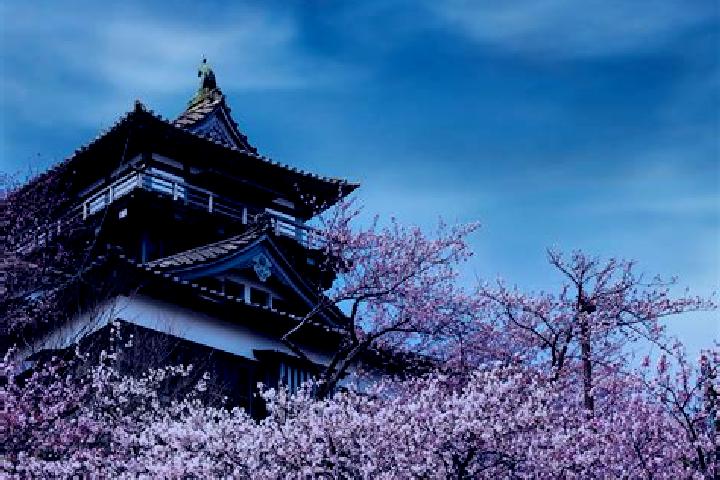 Nora, 31 — Escort in Maruoka, Japan