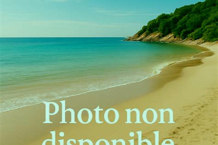 Nora, 31 — Escort in Oye-Plage, France