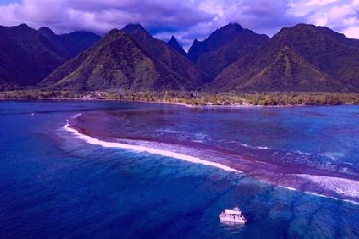 Nora, 31 — Escort in Teahupoo, French Polynesia