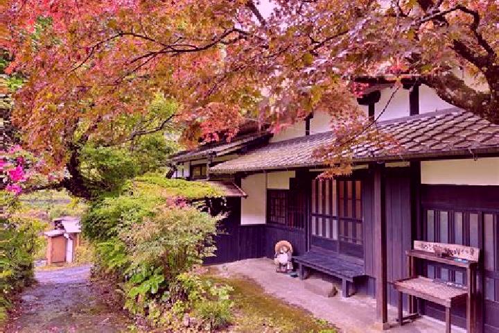 Nora, 31 — Escort in Ukiha, Japan