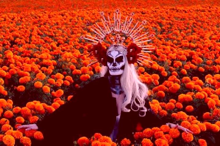 Nora, 32 — Escort in Mesa de Flores, Mexico