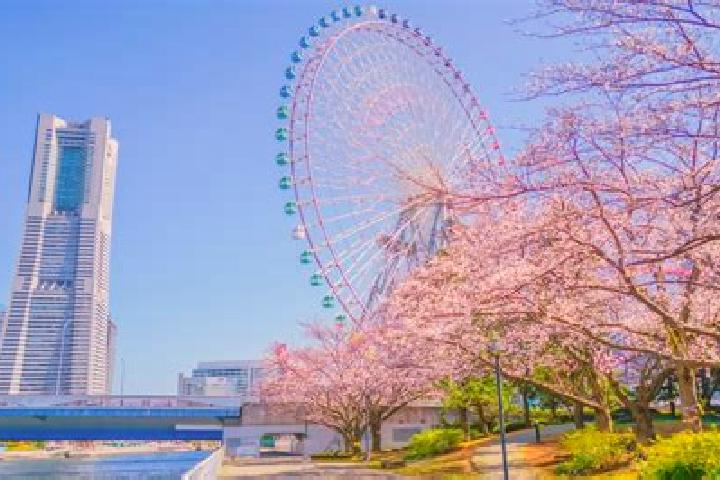 Nora, 32 — Escort in Minatomirai, Japan