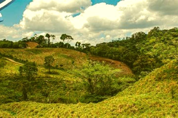 Nora, 33 — Escort in Meambar, Honduras