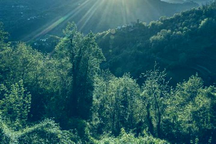 Nora, 34 — Escort in Ponte A Elsa, Italy