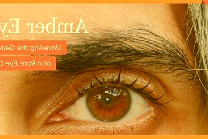 Nora, 35, a red amber-eyed middle eastern companion based in Bengras. Offering Tantra, Couples, 69, Prostate Massage. Available for incall and outcall, overn...