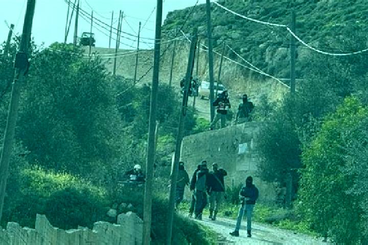 Nora, 35 — Escort in Talfit, Palestine