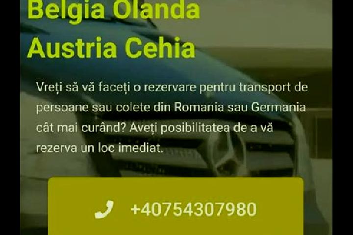 Nora, 35 — Escort in Valea Fantanilor, Romania