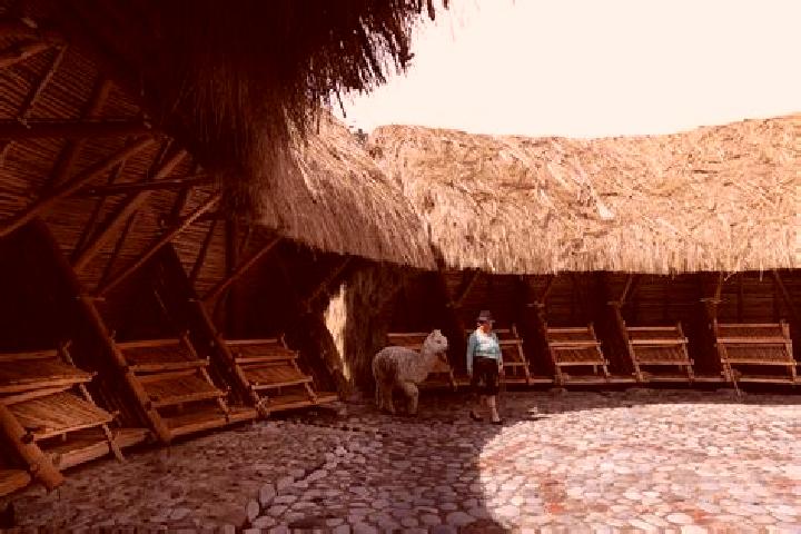 Nora, 35 — Escort in Zumbahua, Ecuador