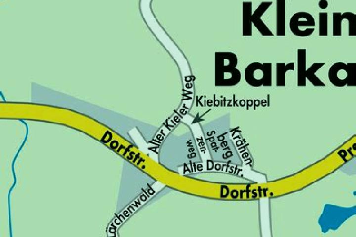 Nora, 36 — Escort in Klein Barkau, Germany