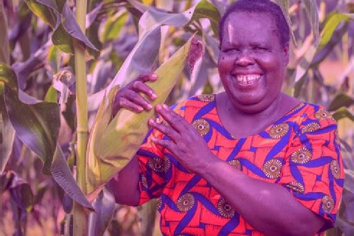 Nora, 36 — Escort in Maracha, Uganda