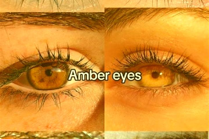 Nora, 37, a chestnut amber-eyed caucasian companion based in Kirillov. Offering Overnight, Fetish, OWO, Couples. Available for incall and outcall, day and ev...